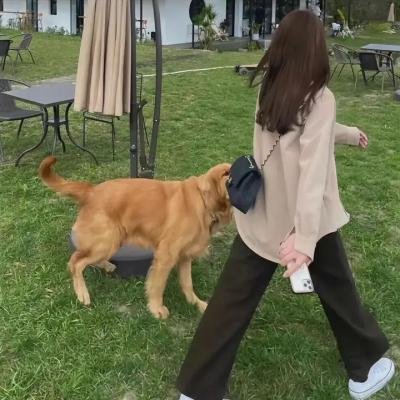 在京都小住
